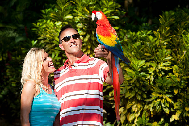 istock Vacation Lifestyles-Couple with Macaw 157435173