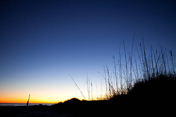 alba sulla spiaggia - sand dune cumberland island beach sand foto e immagini stock