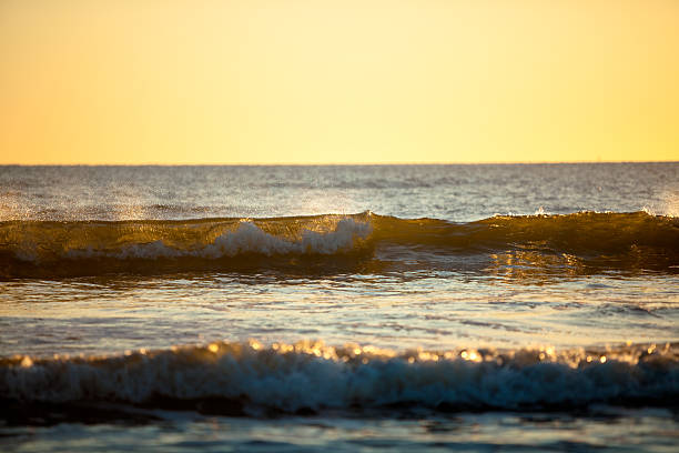 nascer do sol na praia - beach cumberland island environment tranquil scene - fotografias e filmes do acervo