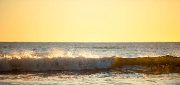 nascer do sol na praia - beach cumberland island environment tranquil scene - fotografias e filmes do acervo