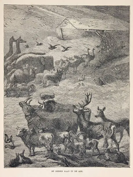 The animals boarding Noah's Ark two by two.