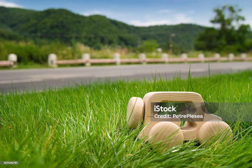 Eco vehículo de madera en la hierba - Foto de stock de Coche híbrido libre de derechos