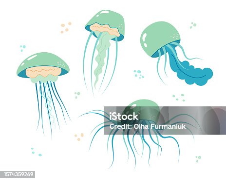 istock Jellyfish cartoony flat decoration set. Hand-drawn poisonous medusa collection, marine oceanic inhabitants, simple nautical character design. 1574359269