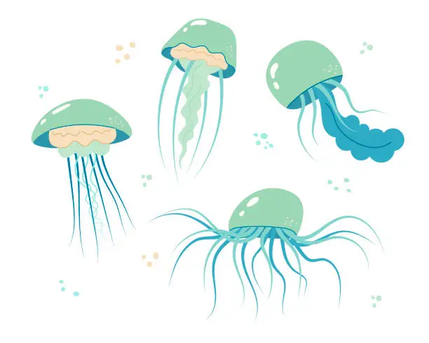 Vector illustration of Jellyfish cartoony flat decoration set. Hand-drawn poisonous medusa collection, marine oceanic inhabitants, simple nautical character design.