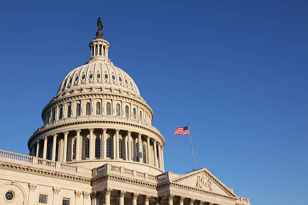 istock The United States Congress with flag 157436066