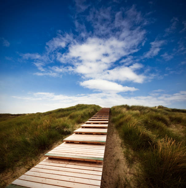 Egmond aan Zee,North Holland , Netherlands. Naturally protected dune landscape on the Dutch North Sea coast. November 08, 2024