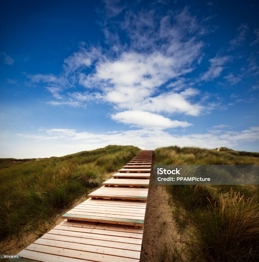 Caminho através das Dunas com uma enorme Céu - Royalty-free Gaivota Foto de stock