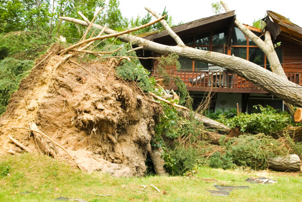 istock Tornado aftermath & destruction forces of nature - III 157436284
