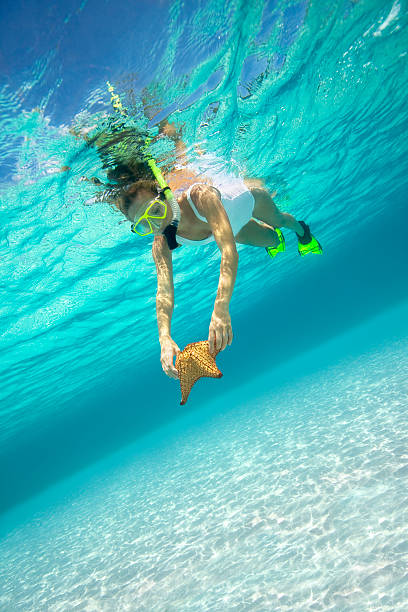 istock woman with a starfish underwater 157436304