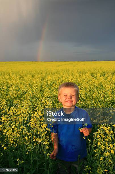 Sorridente Jovem Rapaz Em Um Canola Field - Fotografias de stock e mais imagens de Campo agrícola - Campo agrícola, Chuva, Criança