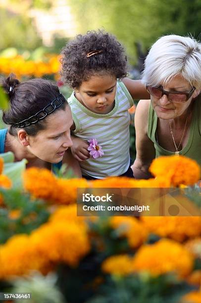 Photo libre de droit de Grandmère Et Petitefille Série banque d'images et plus d'images libres de droit de Famille - Famille, Jardiner, Famille multi-générations