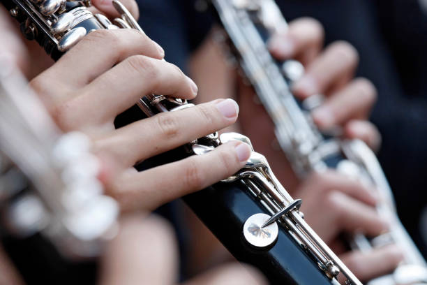 istock Female hand holding clarinet while playing in orchestra, close-up 157436751