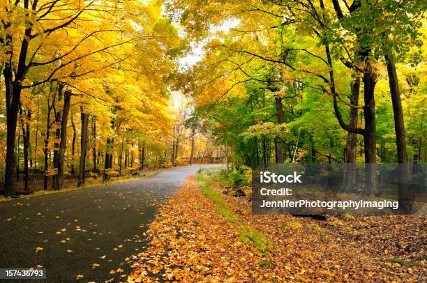 Jesień Road - zdjęcia stockowe i więcej obrazów Jesień - Jesień, Droga, Stan Wisconsin