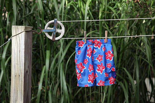 swimsuit on 빨랫줄 - swimming trunks 뉴스 사진 이미지