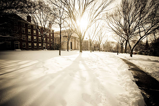 istock Brown University in winter 157437000