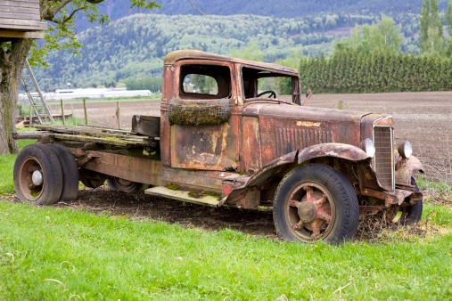 Old Rusty Truck on a field.