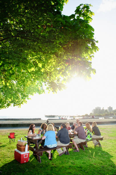 istock Large Family Picnic 157437041