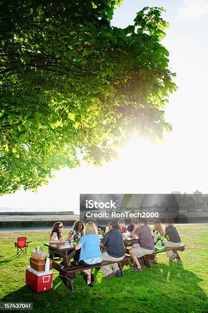 Large Family Picnic Stock Photo - Download Image Now - Family, Large Family, Picnic