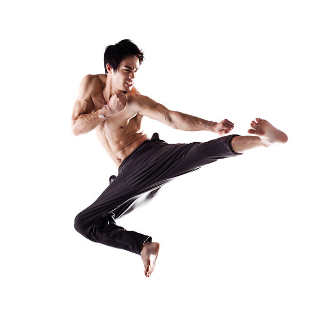 Martial Arts Fighter Isolated on White stock photo