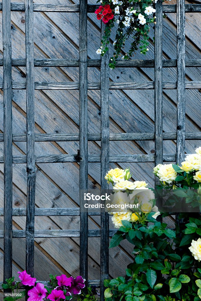 Wood lattice Lattice made of wood with flowers. Creeper Plant Stock Photo