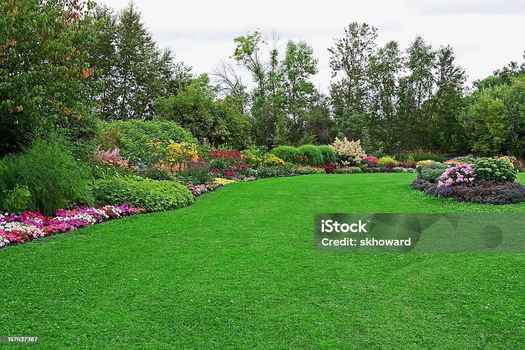 Green Lawn in Landscaped Formal Garden Green lawn (with a bit of clover) in a colorful landscaped formal garden. Yard - Grounds Stock Photo