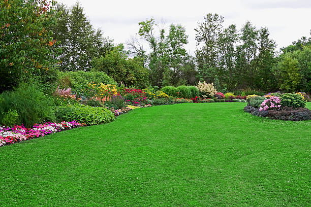 Green Lawn in Landscaped Formal Garden Green lawn (with a bit of clover) in a colorful landscaped formal garden. yard grounds stock pictures, royalty-free photos & images