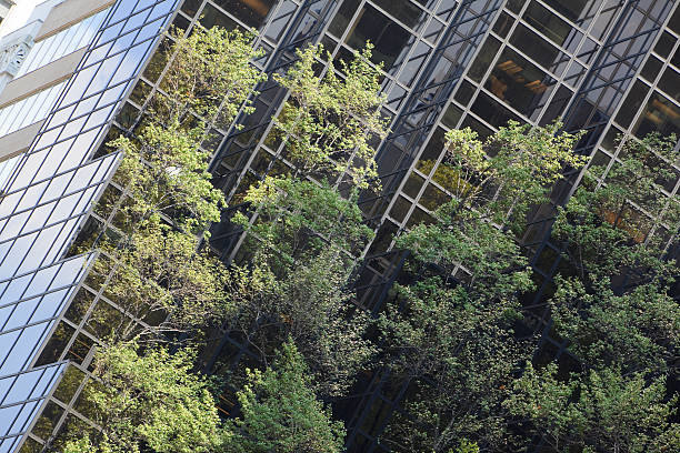 istock Ecological Green house with trees 157437452
