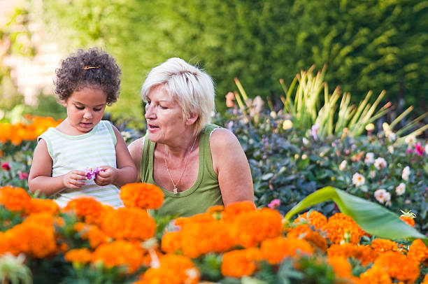 abuela y granddaughter (serie - grandmother generation gap senior adult granddaughter fotografías e imágenes de stock