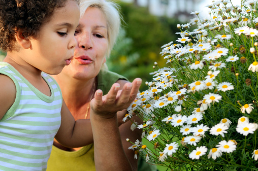 Royalty free stock photo of grandmother and her granddaughter looking at flowers