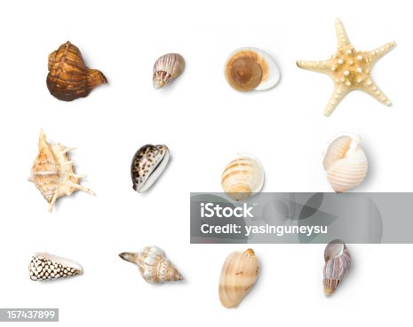 istock Beach Objects Series 157437899