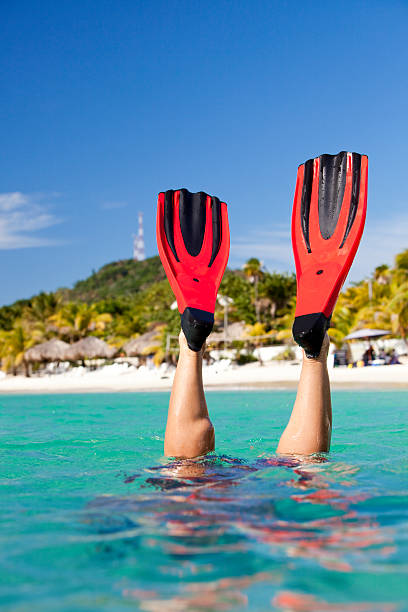 istock Dive fins raised above water 157437929