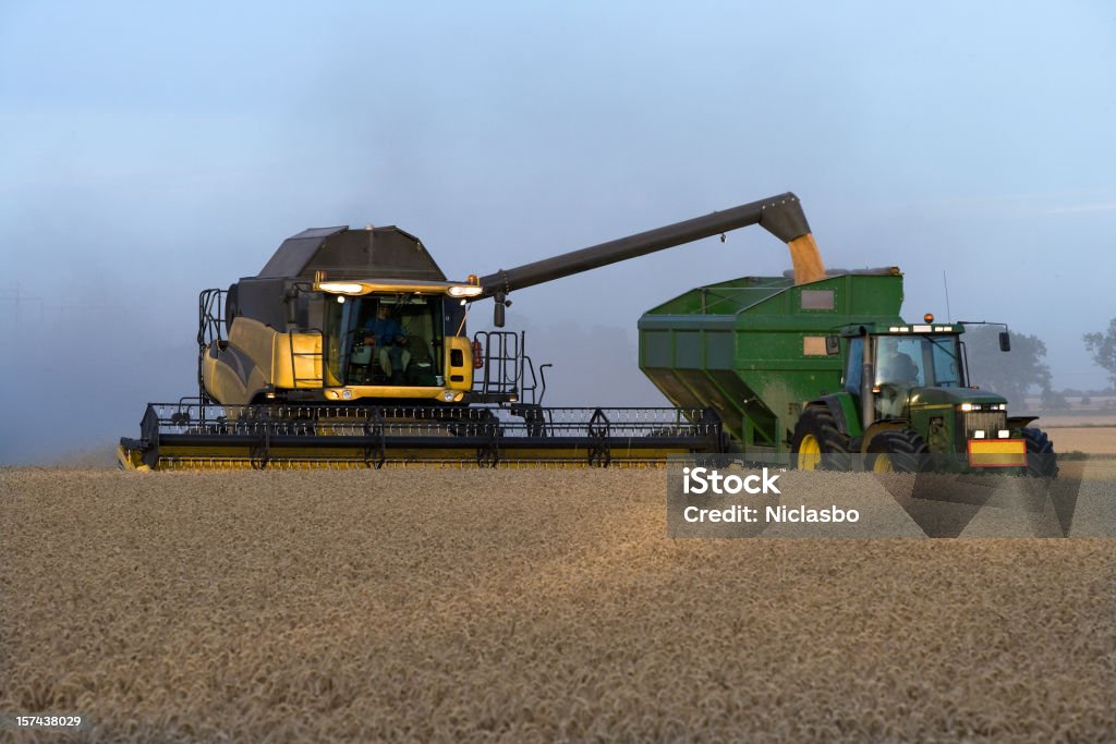 Combinan en un campo de trigo - Foto de stock de Agricultura libre de derechos