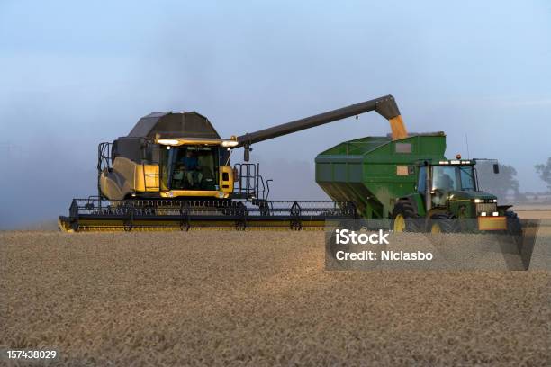 Combinan En Un Campo De Trigo Foto de stock y más banco de imágenes de Agricultura - Agricultura, Color - Tipo de imagen, Cosechadora