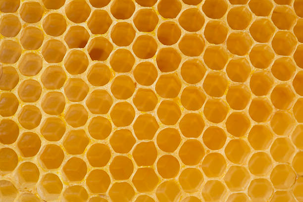 istock Detail of honeycomb 157438050