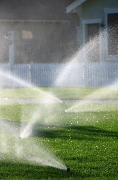 istock Residential Sprinklers Irrigating a Beautiful Lawn 157438204