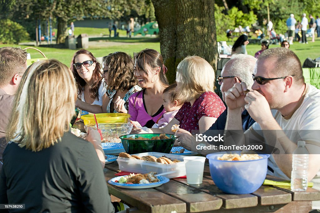 Picnic in the Park  Family Reunion Stock Photo