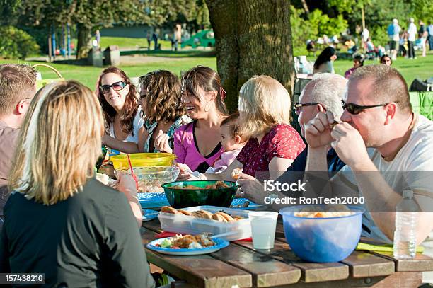 Picnic In The Park Stock Photo - Download Image Now - Family Reunion, Outdoors, Picnic