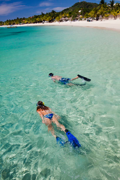istock Couple snorkeling from tropical beach 157438402