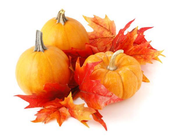 istock Pumpkins and Autumn Foliage 157438468