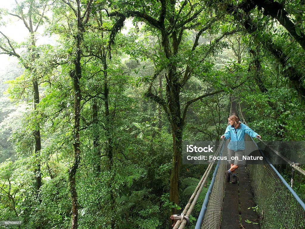 Ponte Hanging - Foto stock royalty-free di Monteverde