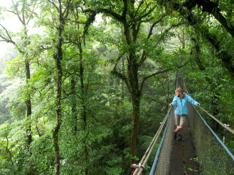 A woman on a hanging bridge in the monteverde cloudforest, Costa Rica   