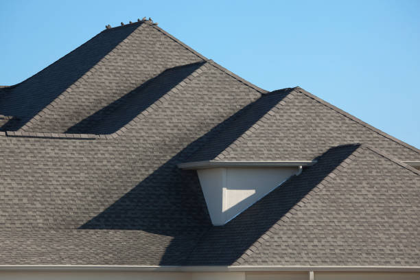 Architectural Asphalt Shingle Rooftop With Morning Dove Birds stock photo