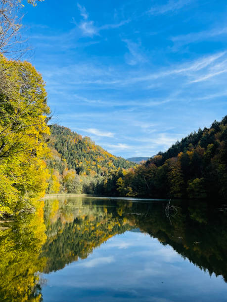 istock bavarian lake in autumn 1574386542
