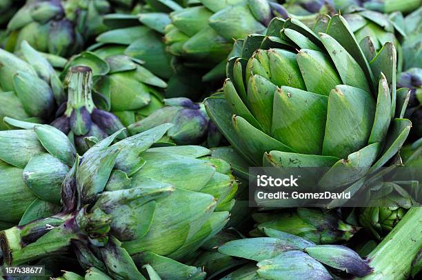 채집한 Artichokes In 압살했다 수거통 아티초크에 대한 스톡 사진 및 기타 이미지 - 아티초크, 엉겅퀴류, 0명