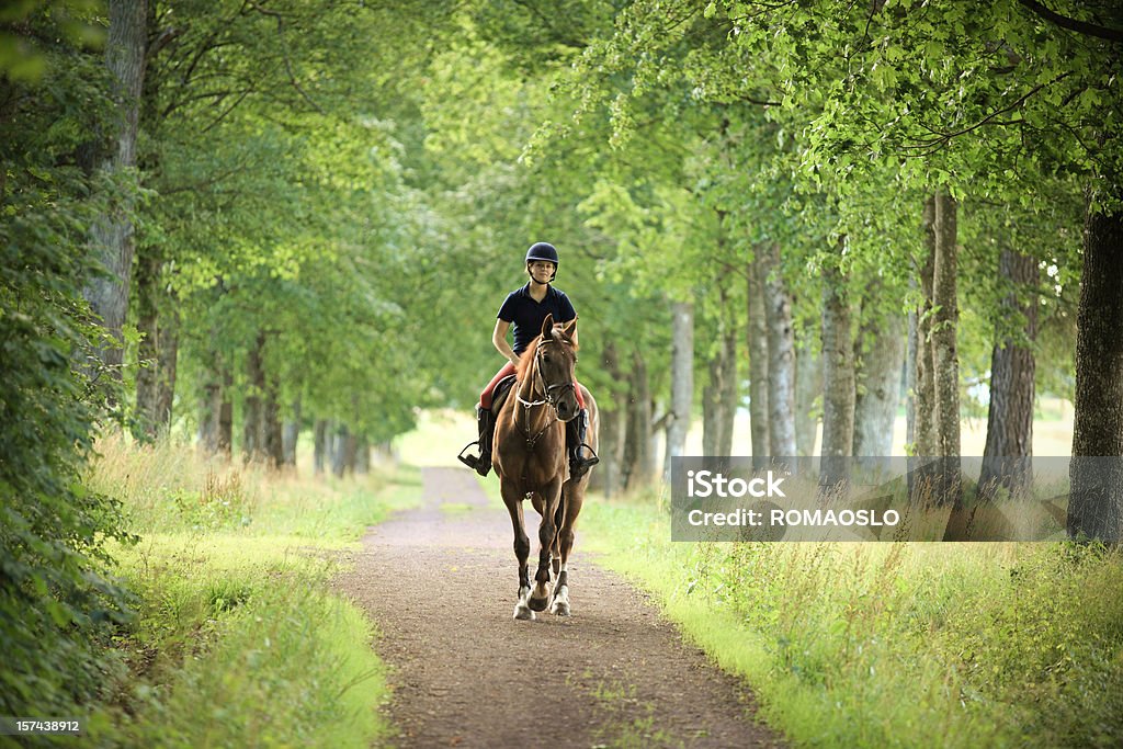 Jovem mulher Cavalgar em uma estrada romântica, Noruega - Royalty-free Andar Foto de stock