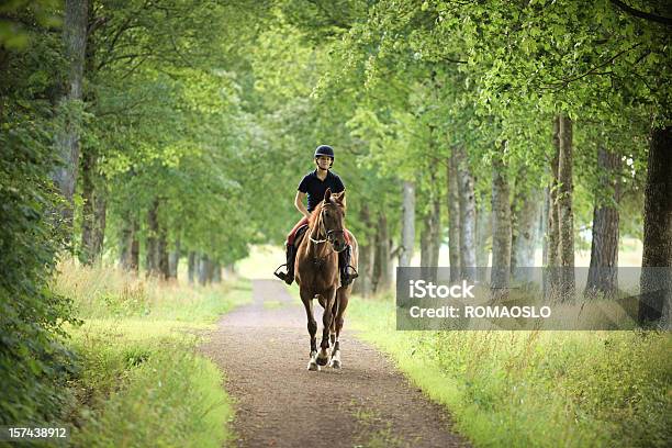 Jovem Mulher Cavalgar Em Uma Estrada Romântica Noruega - Fotografias de stock e mais imagens de Andar