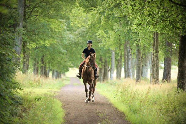 молодая женщина верхом на лошади в романтический road, норвегия - trail ride стоковые фото и изображения