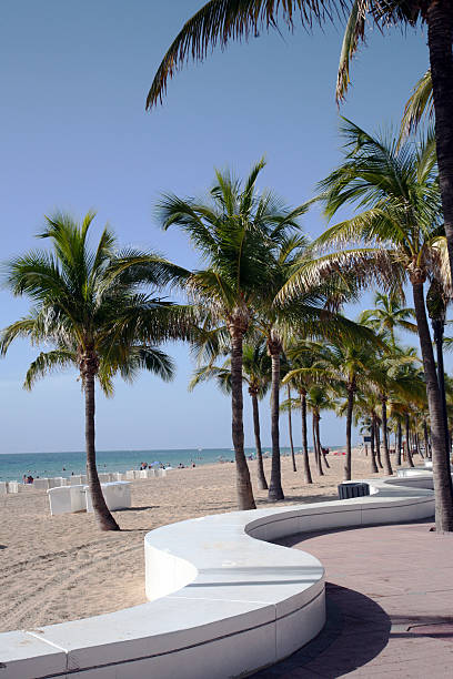 istock Scenic View Of Ft. Lauderdale Beach 157439107