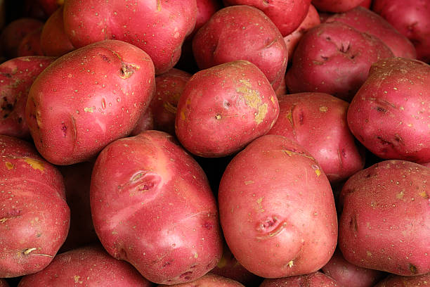 close-up of красный картофель на дисплее в продукции на рынок - red potato raw potato market red стоковые фото и изображения