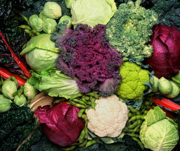 gruppierung der cruciferous gemüse - cabbage stock-fotos und bilder